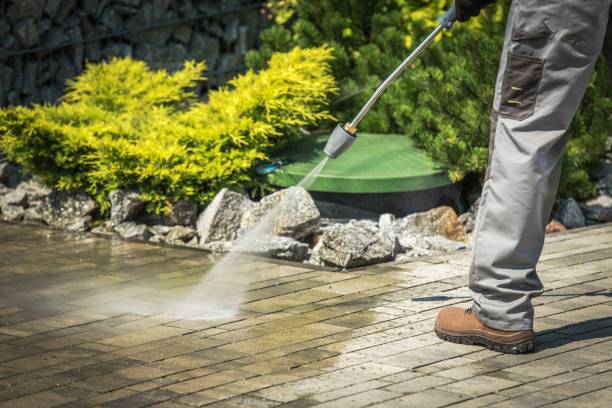 Best Pre-Holiday Cleaning  in Fowlkes, TN